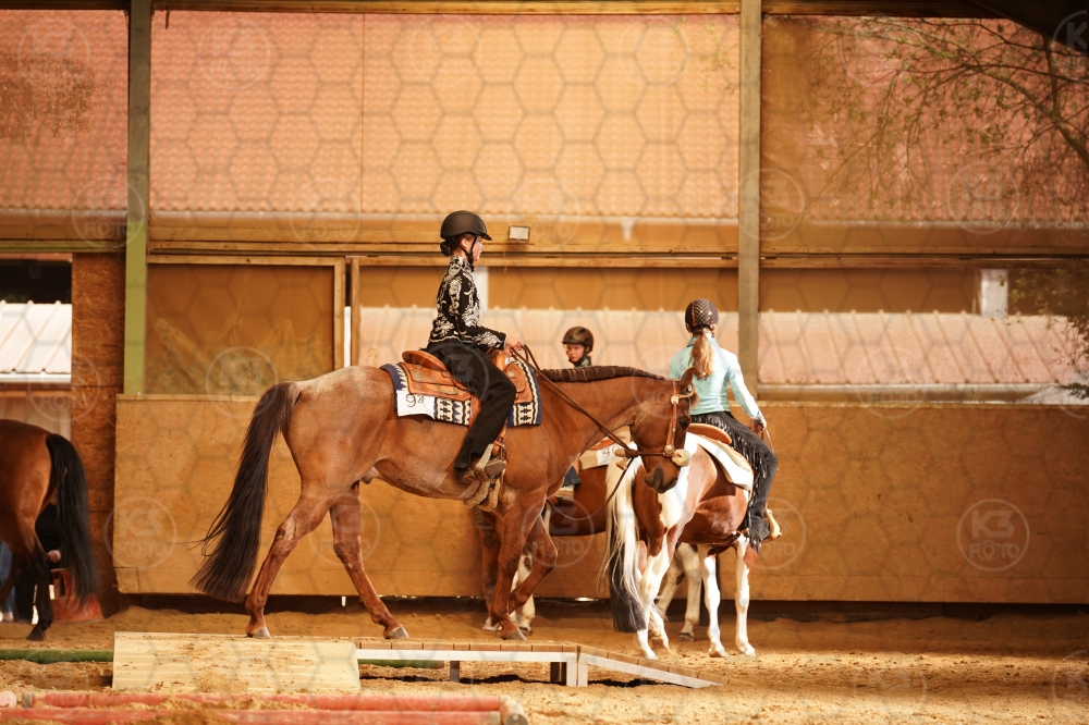s_A9_01724.jpg